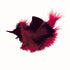 Red & Black Craft Feathers